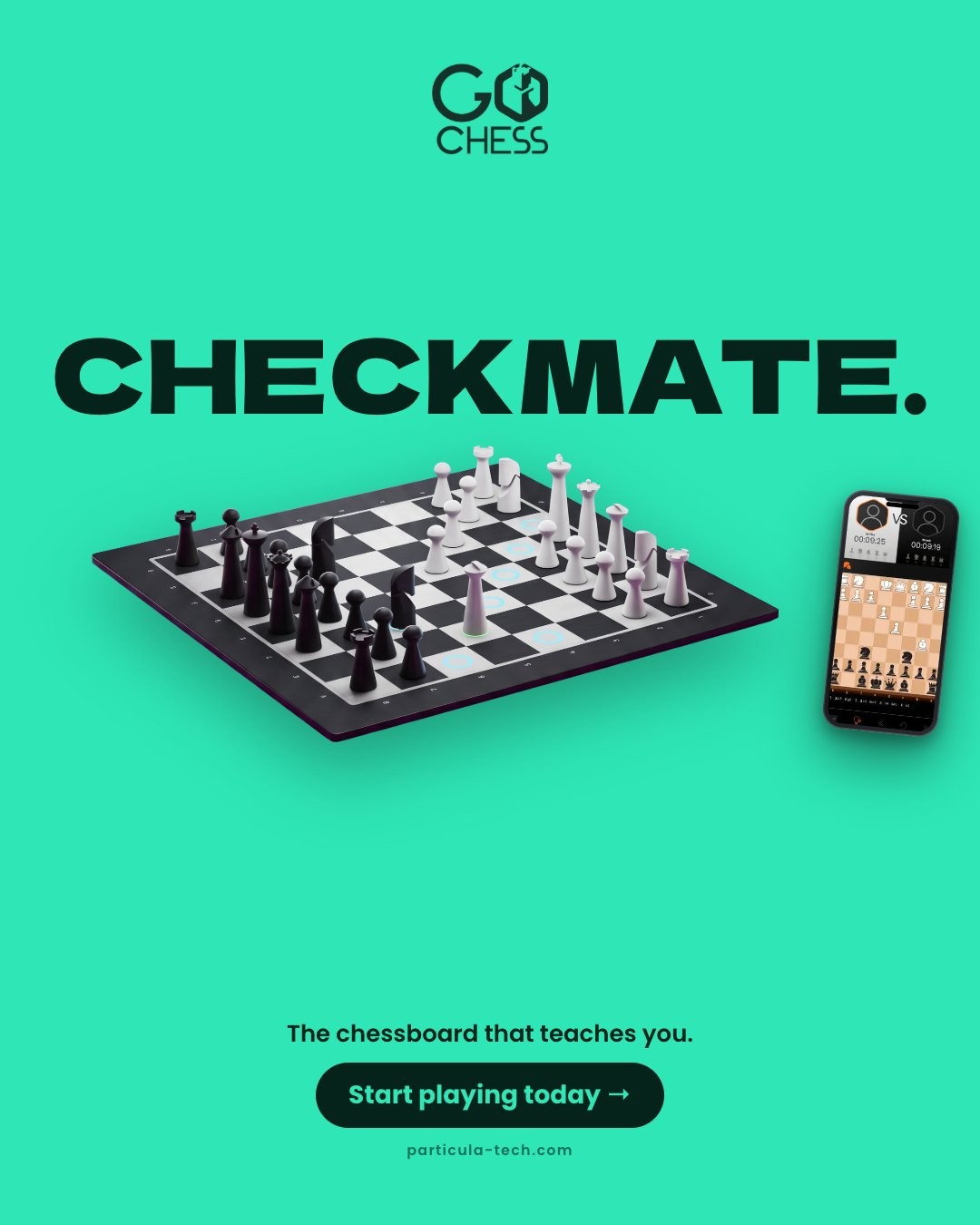 Checkmate.